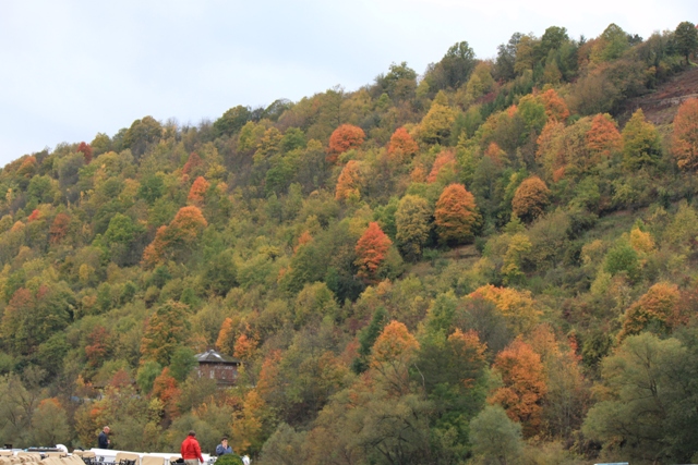 Along the Main, Germany